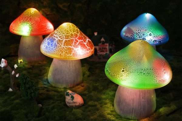 Mushroom Light