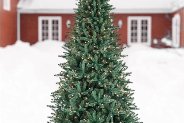 Outdoor Christmas Tree