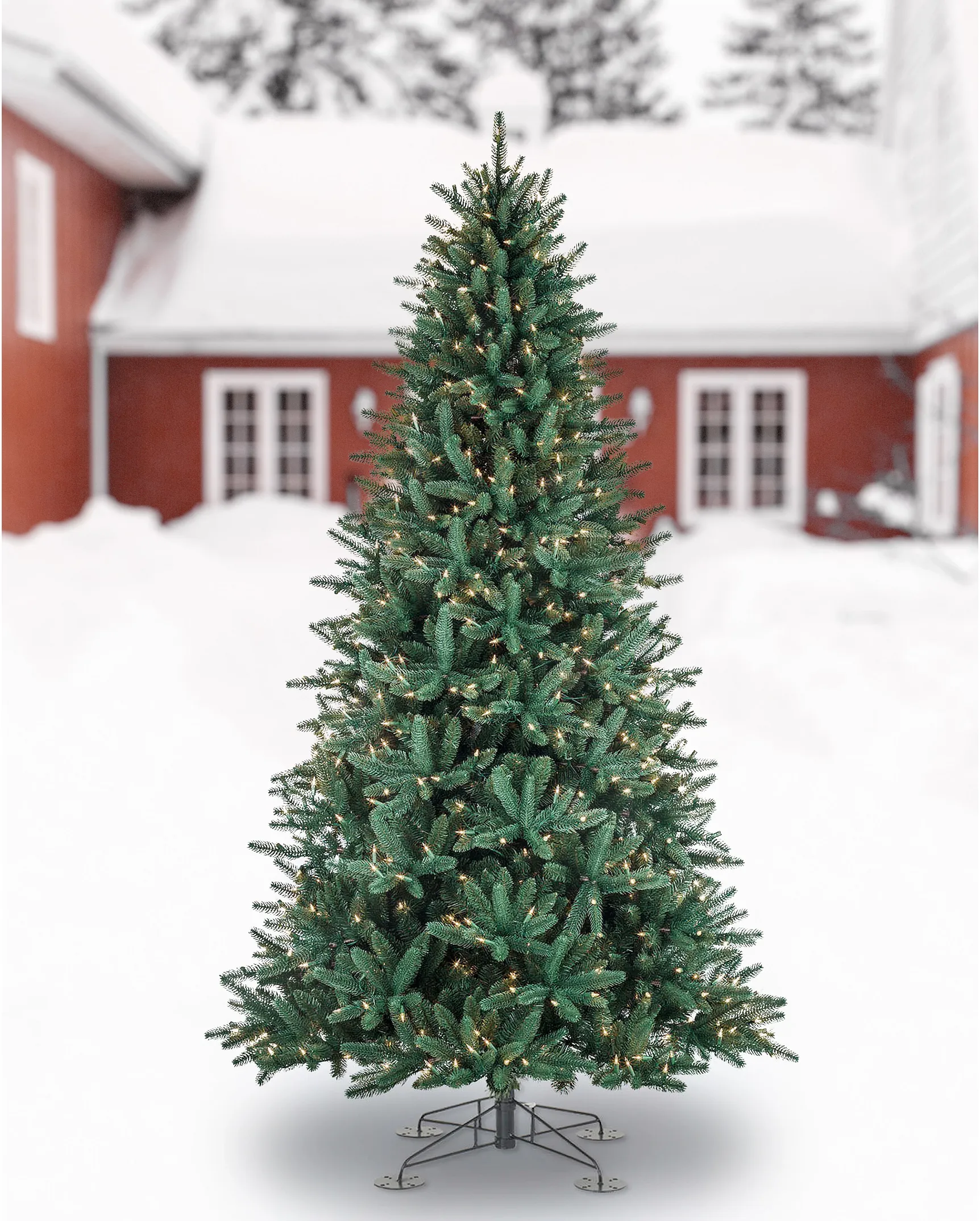 Outdoor Christmas Tree