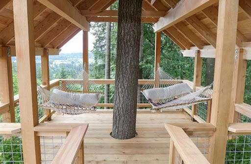 Tree House Ideas